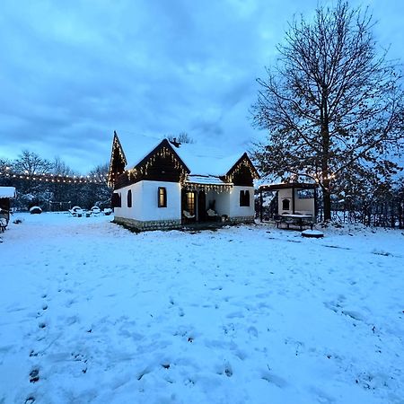 Cuib Din Fagaras Villa Avrig Buitenkant foto
