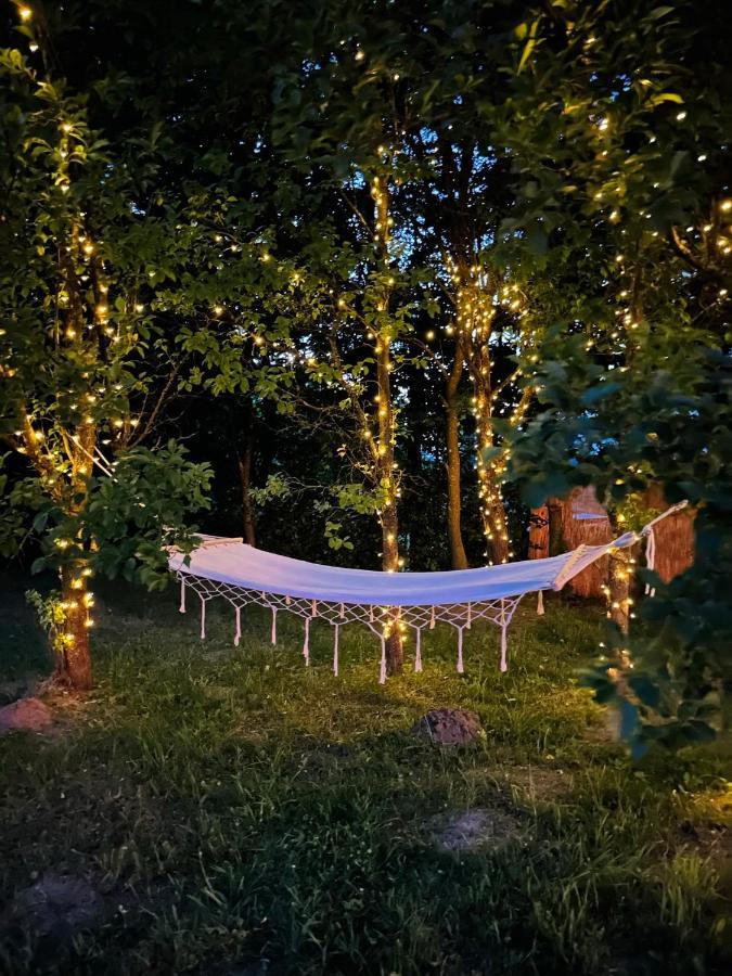 Cuib Din Fagaras Villa Avrig Buitenkant foto