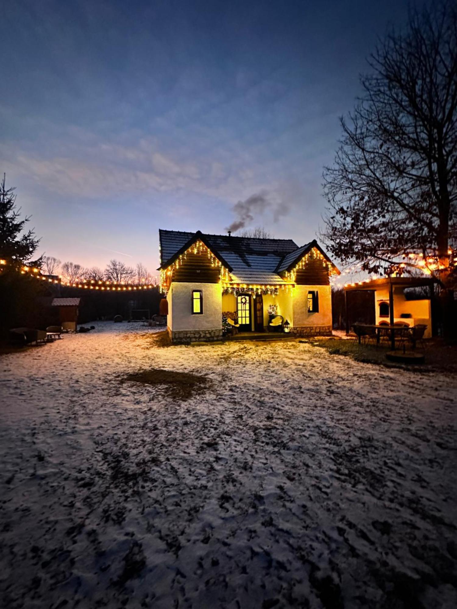 Cuib Din Fagaras Villa Avrig Buitenkant foto
