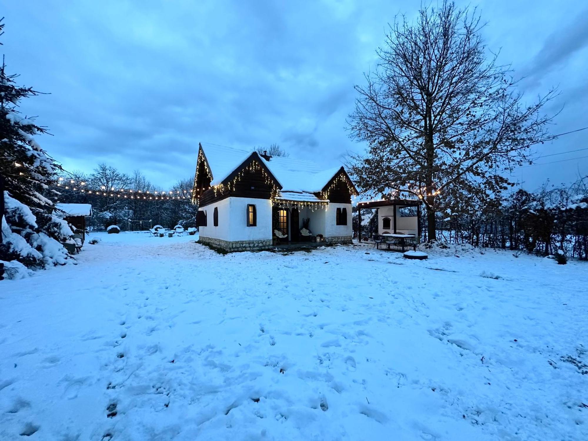 Cuib Din Fagaras Villa Avrig Buitenkant foto