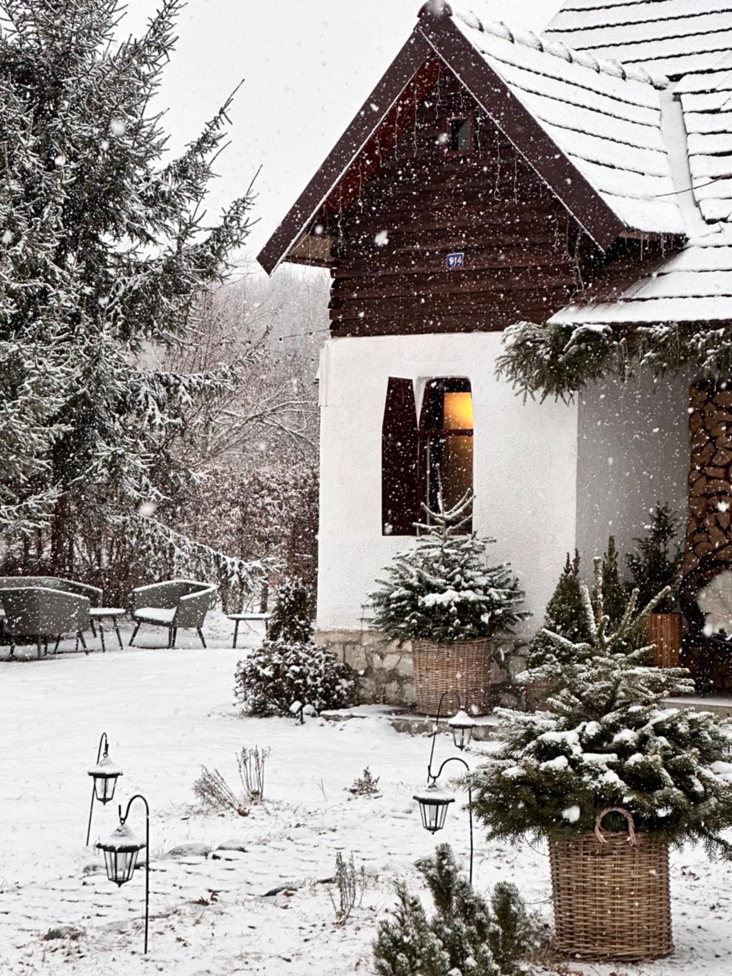 Cuib Din Fagaras Villa Avrig Buitenkant foto